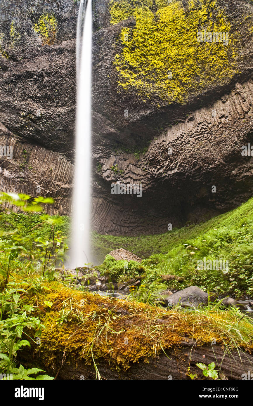 Latourell Wasserfall in der Columbia River Gorge National Scenic Bereich, Oregon Stockfoto