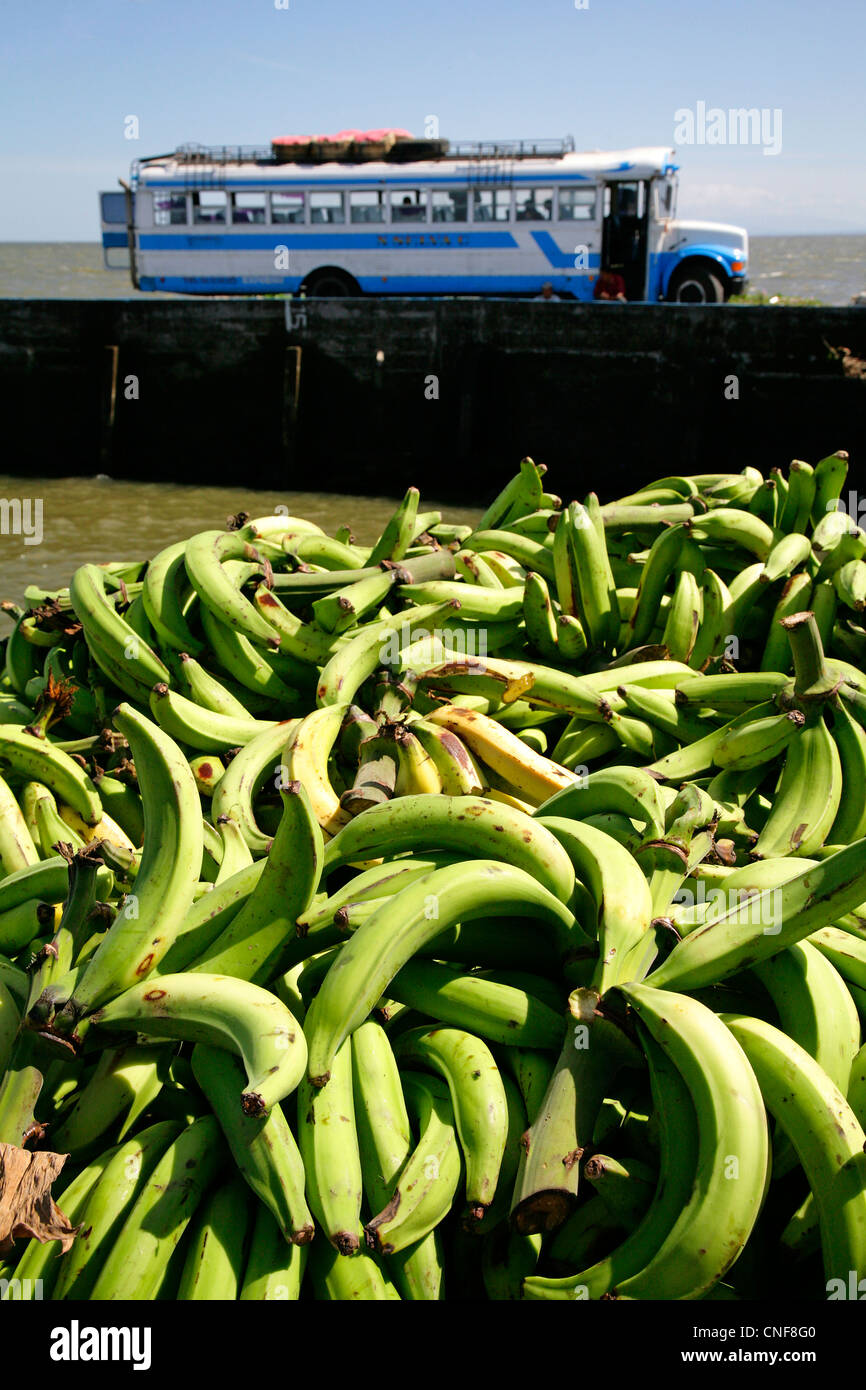 Banana Republic Lateinamerika Huhn Bus und Bananen Reisen Abenteuer Stockfoto