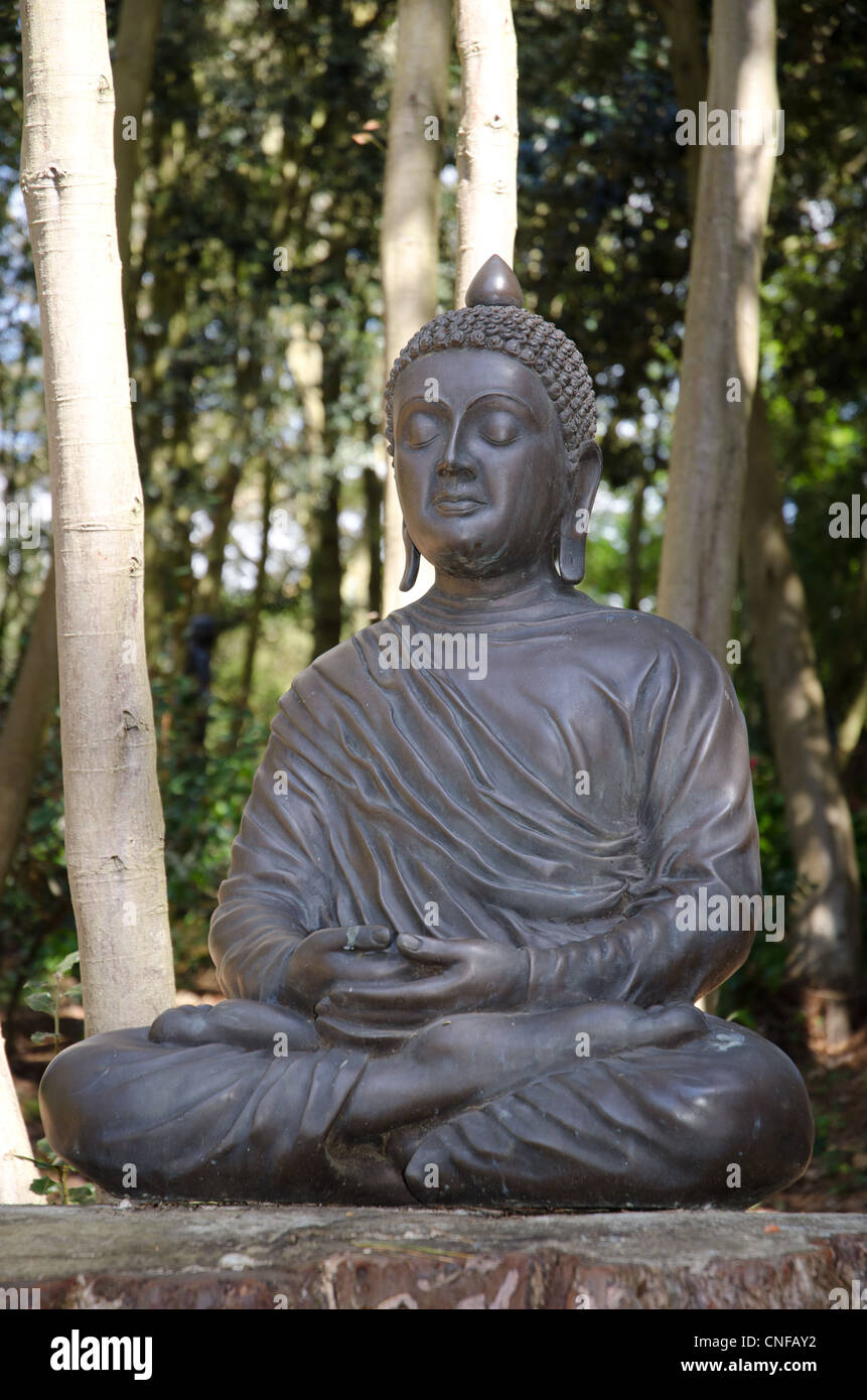 Statue des Buddha in einer bewaldeten Umgebung Stockfoto