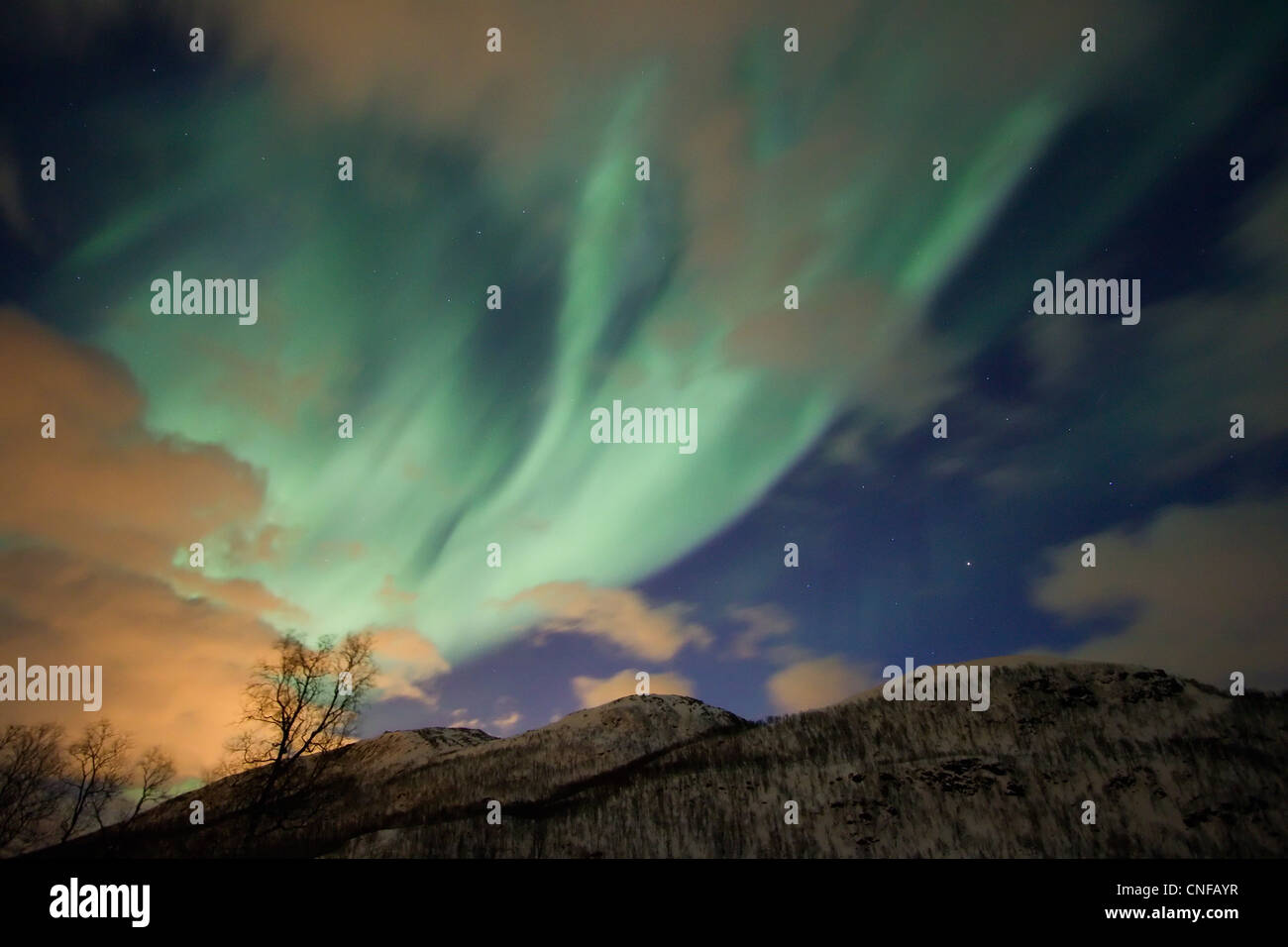 Aurora borealis oder Nordlicht, das über Nacht Himmel innerhalb des Polarkreises Tromso Troms Kvaløya Region Norwegen 2012 Beste Stockfoto