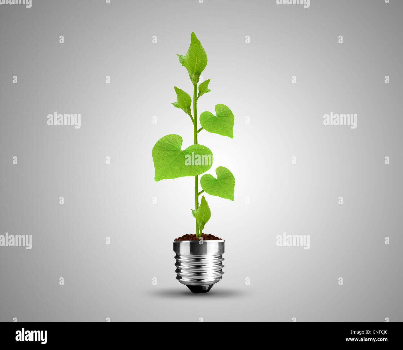 Glühbirne aus grünen Blättern, Glühbirne Konzeptbild. Stockfoto