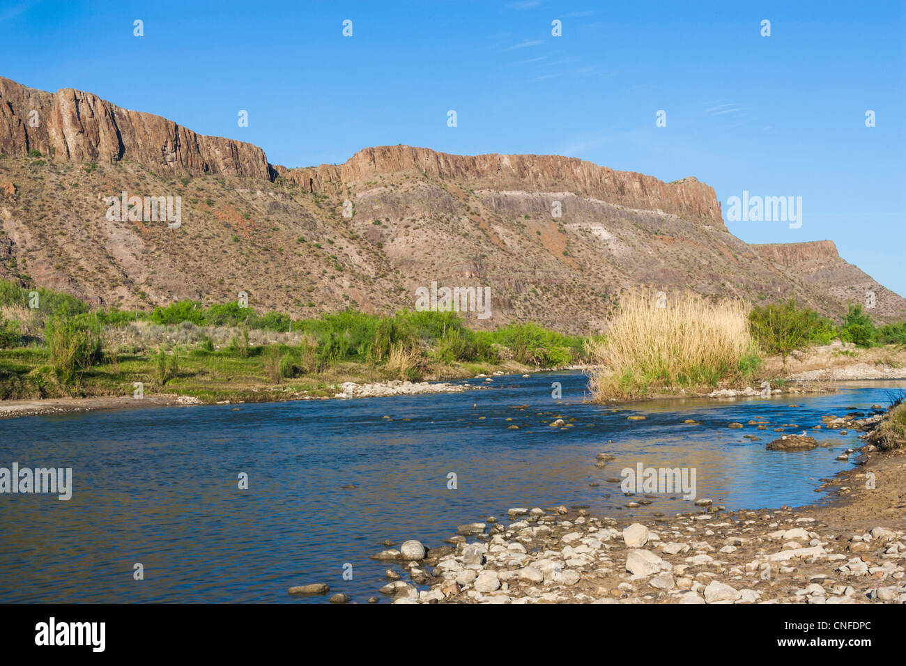Rio Grande River im frühen Morgenlicht im Big Bend National Park im Südwesten von Texas. Stockfoto