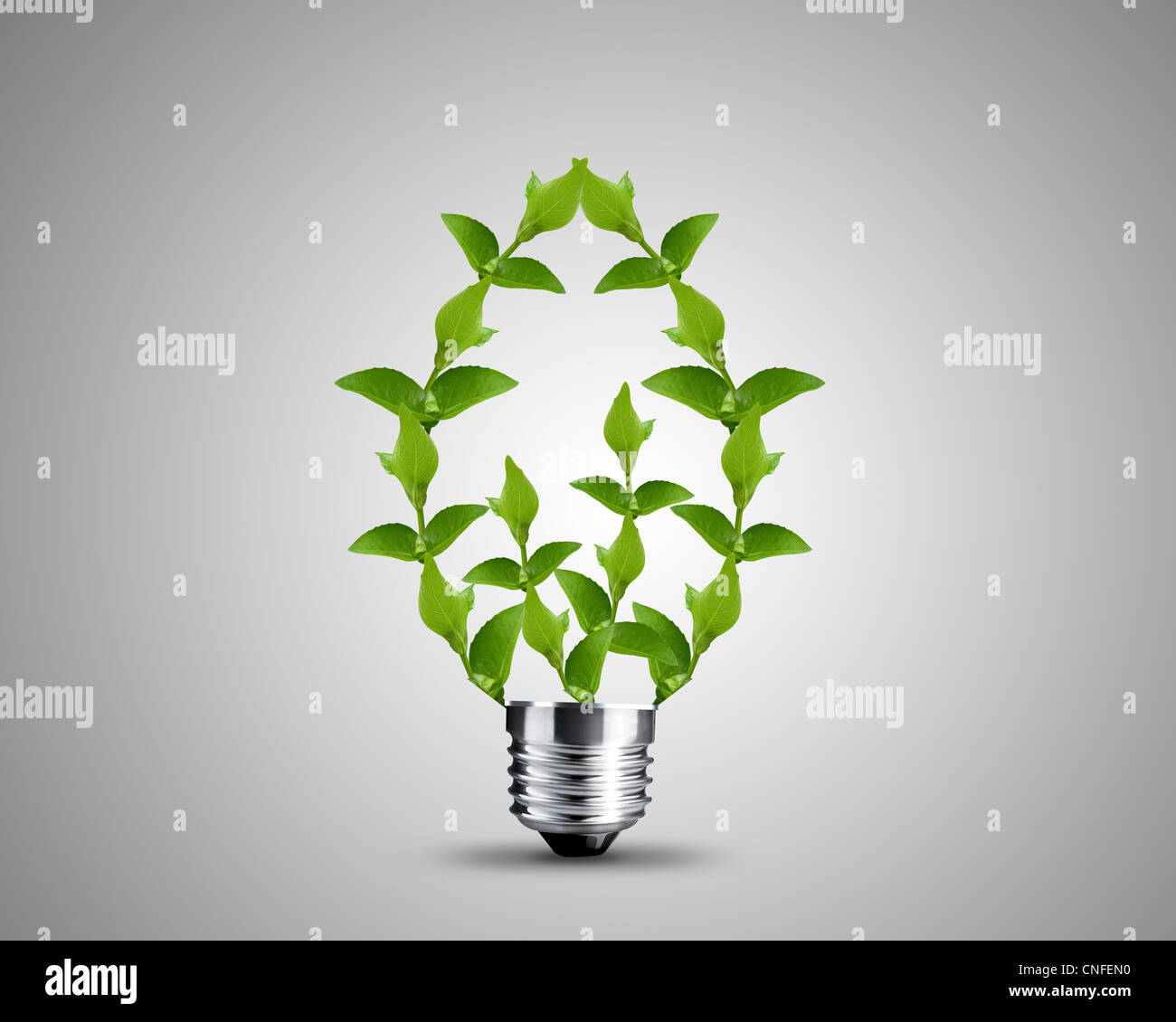 Glühbirne aus grünen Blättern, Glühbirne Konzeptbild. Stockfoto