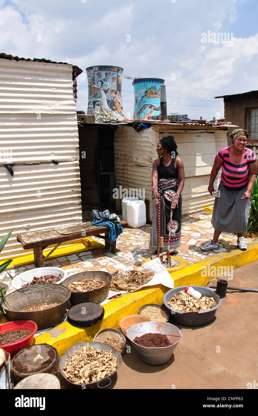 Familiengruppe im Township Soweto, Johannesburg, Provinz Gauteng, Südafrika Stockfoto