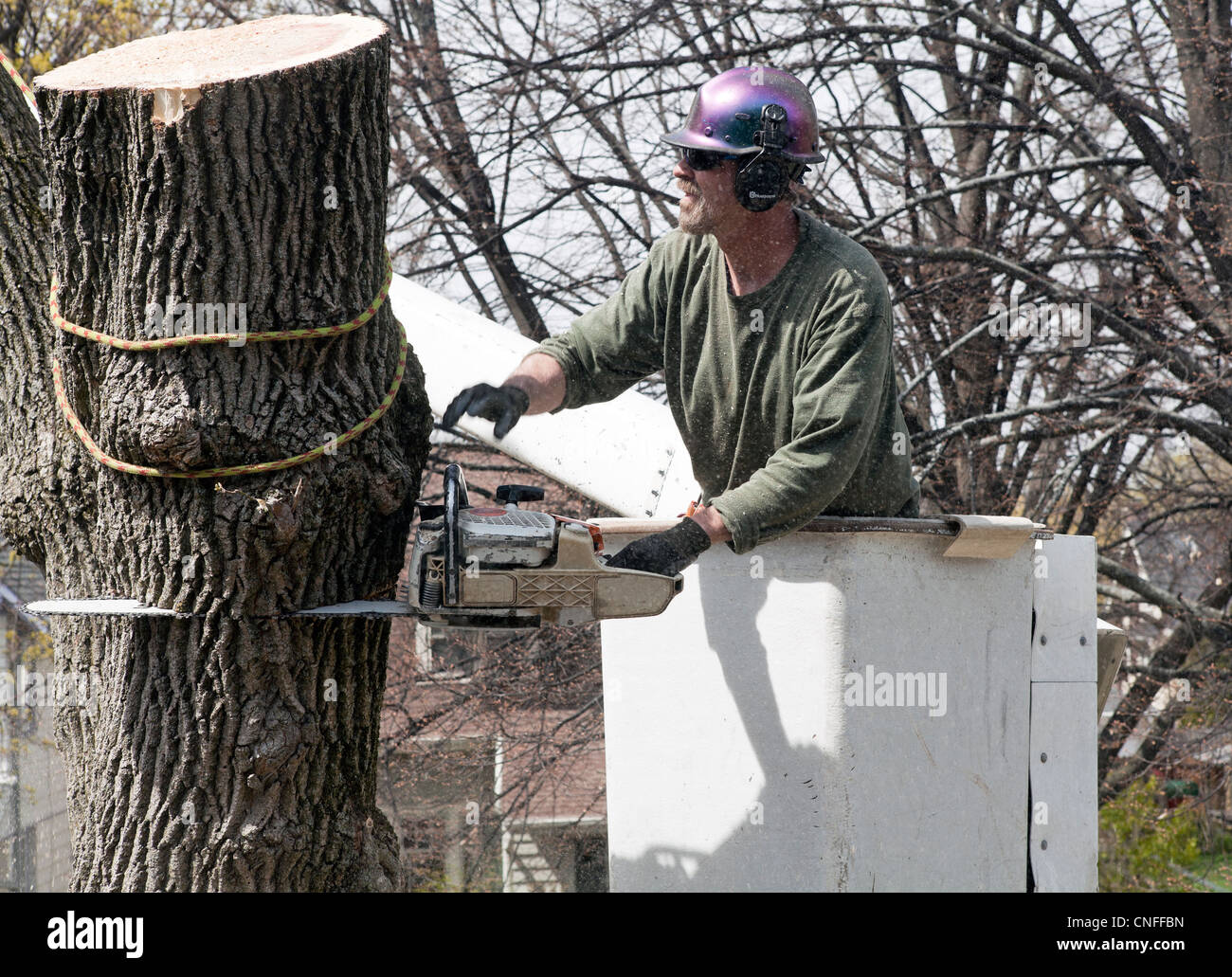 In einem einen Wohnsitz in den USA wird ein Baum abgeholzt