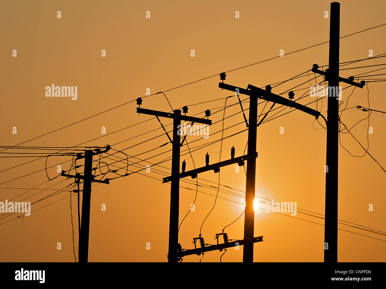 Telegrafenmasten und Telegraphendrähten bei Sonnenaufgang Stockfoto