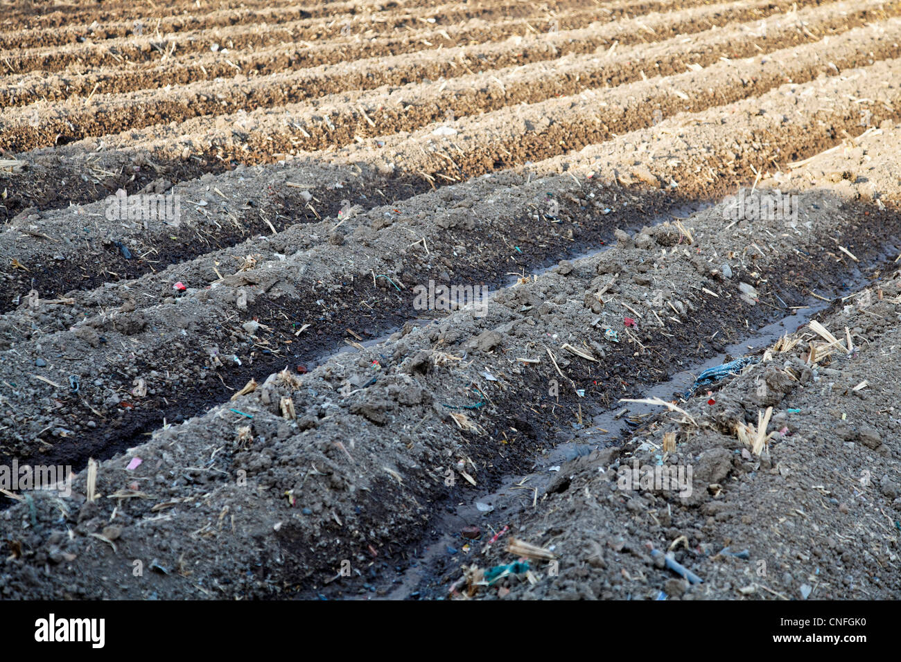 Landschaft der Diagonale Furchen einer bewässerten Farm in Gujarat Indien Stockfoto