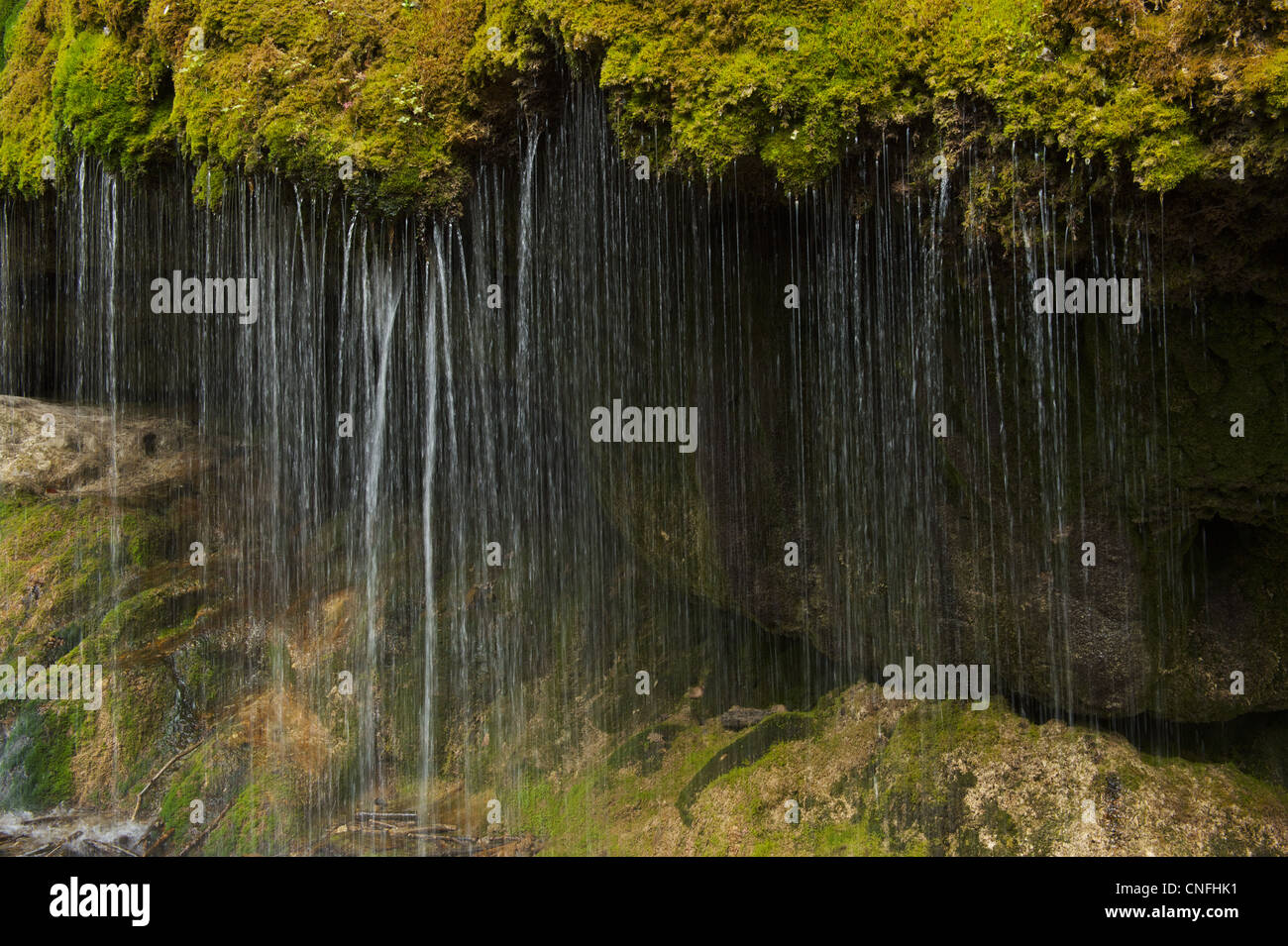 Wasser fällt wie ein Vorhang von Sims mit Moos bedeckt Stockfoto