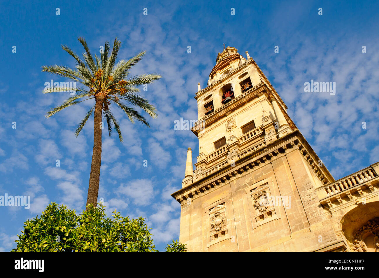 Blick auf das Bell Tower und ehemalige Minarett der Mezquita in Córdoba, Andalusien. Stockfoto