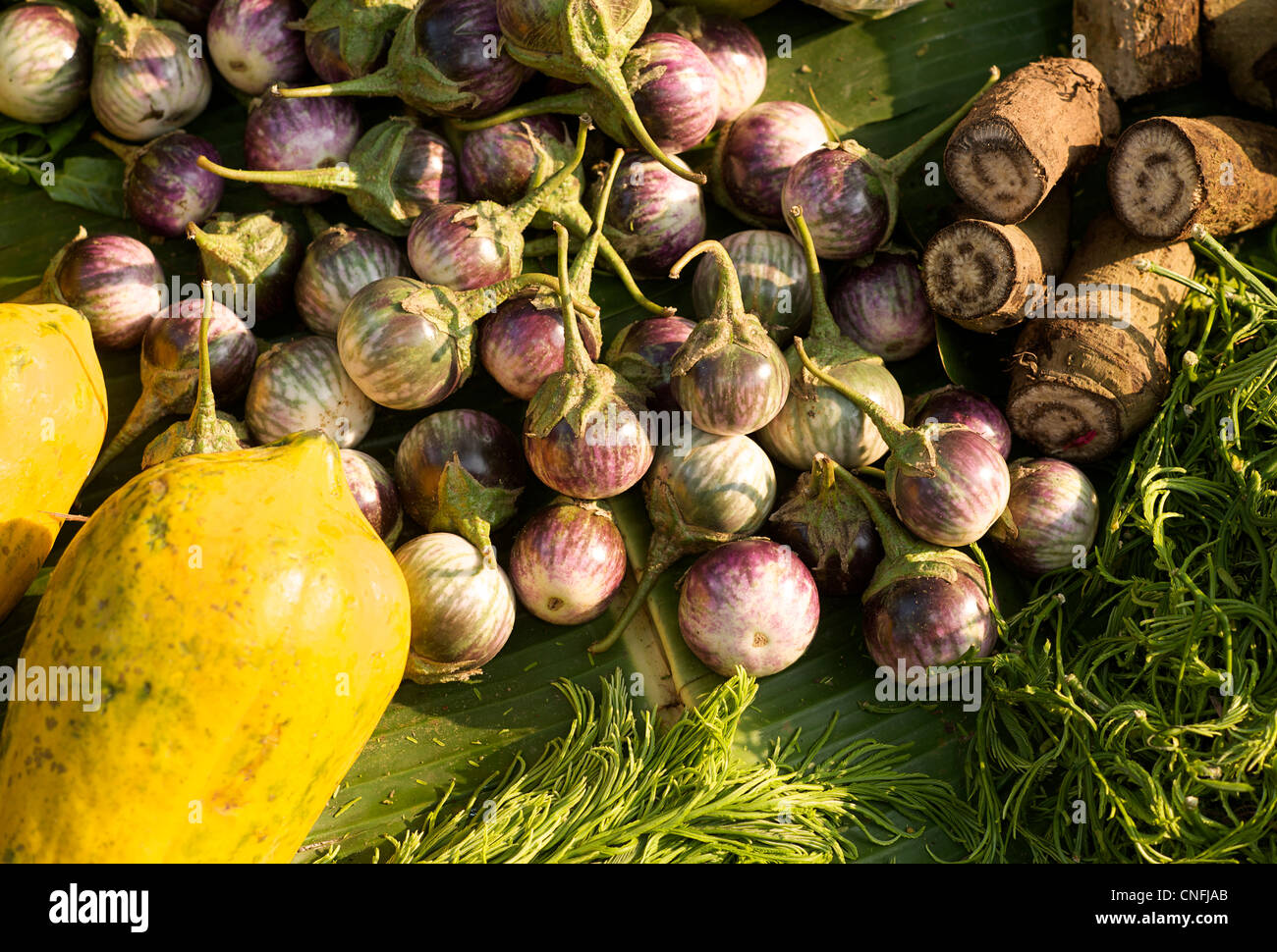 Exotische Südfrüchte zu verkaufen in Hsipaw Markt Stockfoto