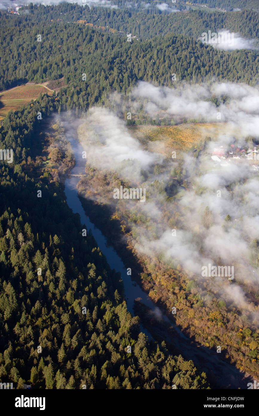 Luftaufnahme Weinberge Russian River Sonoma County, Kalifornien Stockfoto