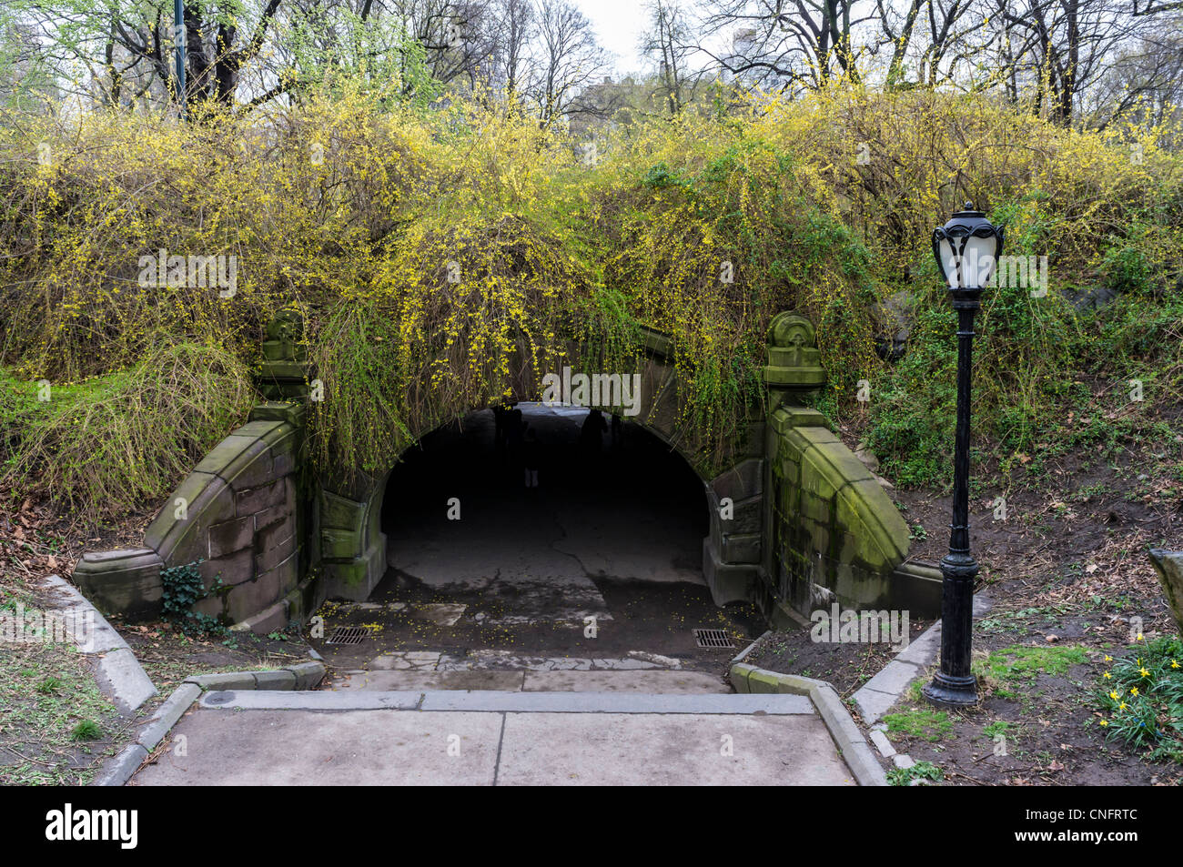 Kleeblatt-Bogen im Central Park in New York City im Frühjahr Stockfoto