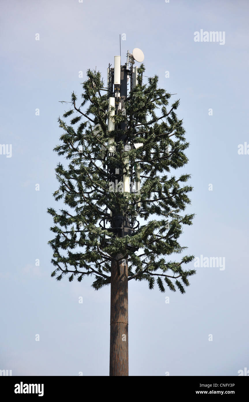 Zelle Telefon-Mast-Diguised als Baum, Boksburg, Provinz Gauteng, Südafrika Stockfoto