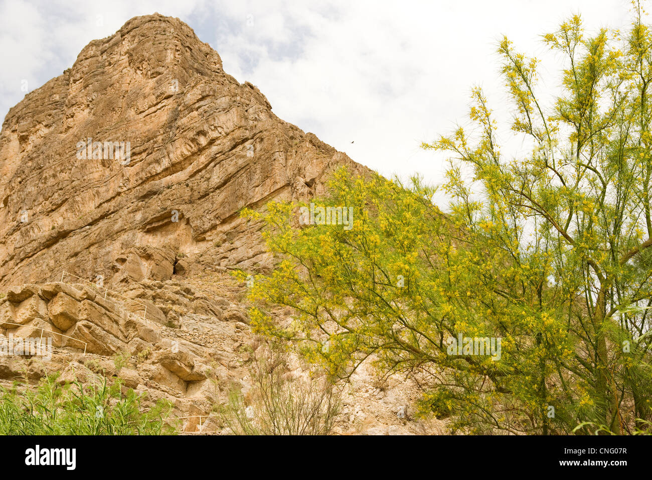 Santa Elena Canyon, Big Bend Nationalpark, TX Stockfoto