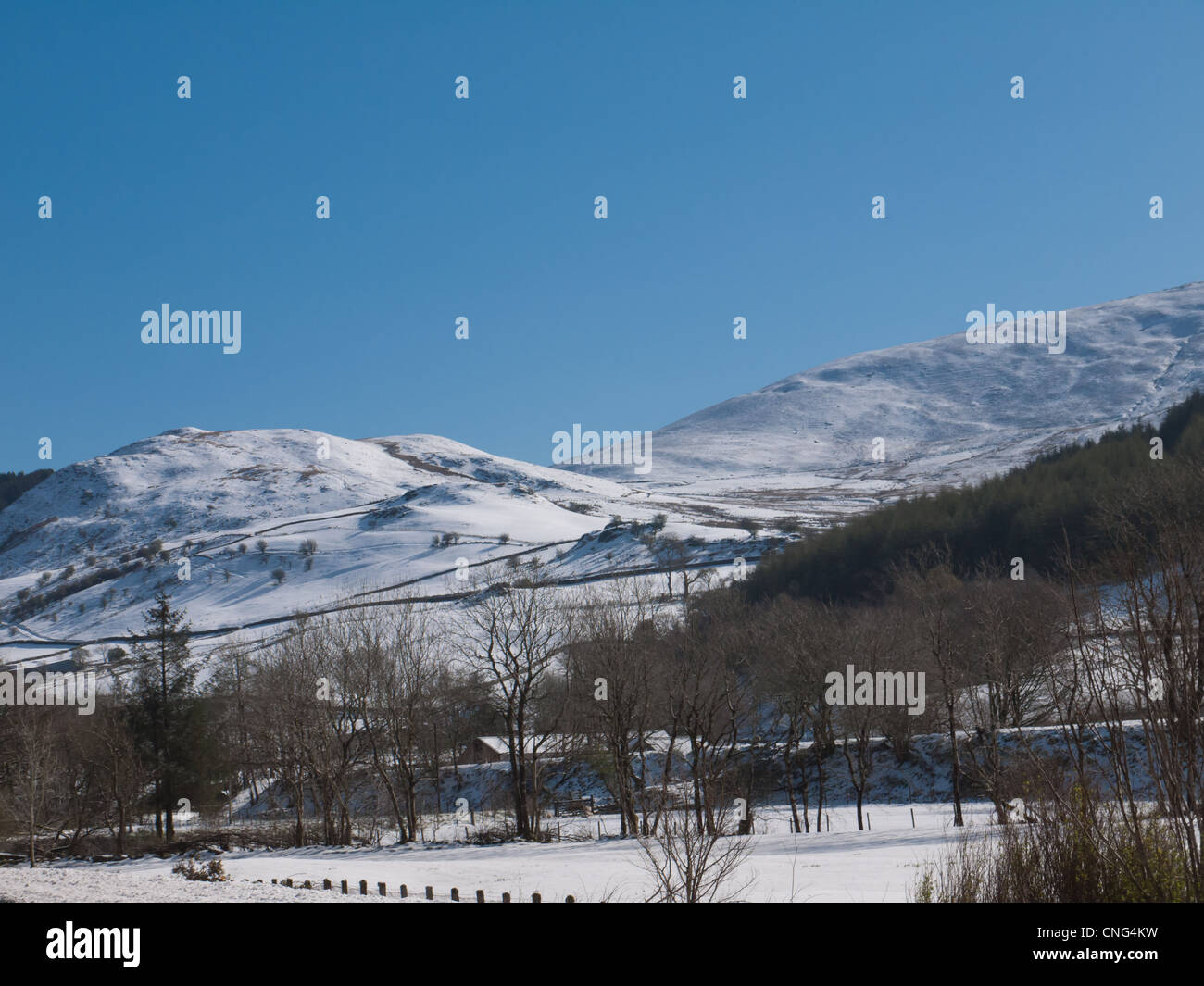 Ein Freak-Wetter-Ereignis verursacht schweren Schnee in Rhydymain, Nord-Wales, während Ende April 2012 fallen Stockfoto