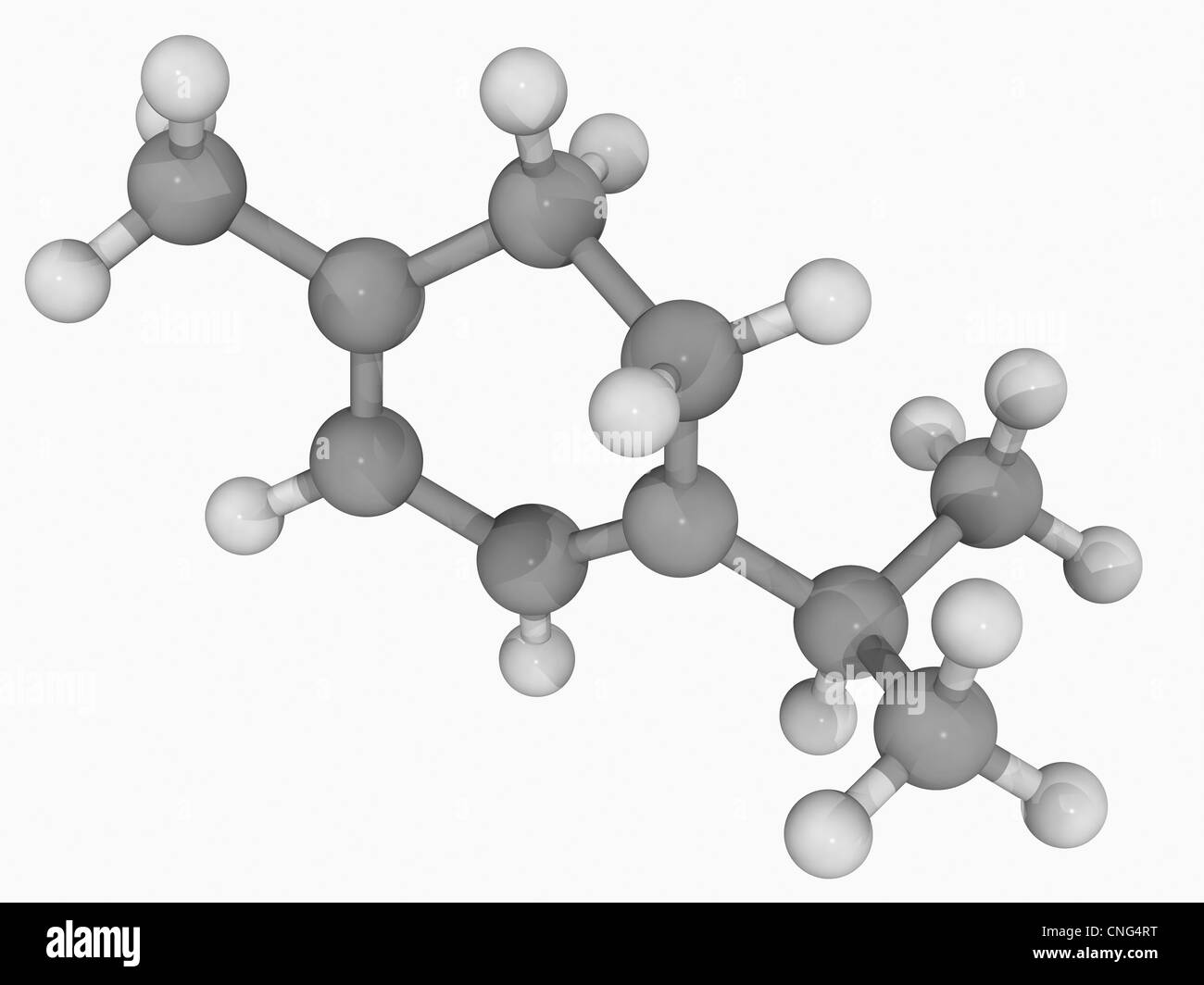 Alpha-Terpinene-Molekül Stockfoto