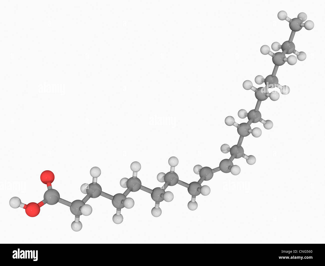Elaidic saure Molekül Stockfoto