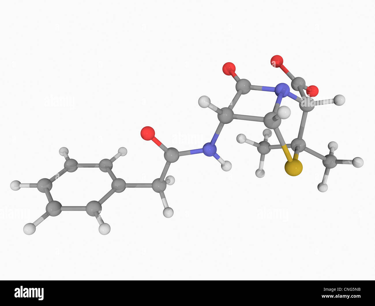 Penicilline Fotos und Bildmaterial in hoher Auflösung Alamy