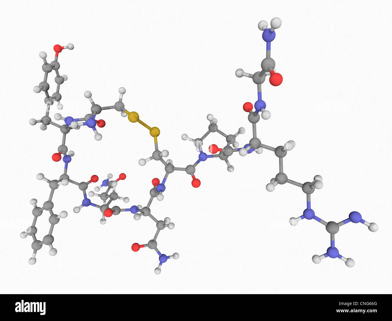 Vasopressin-Hormon-Molekül Stockfoto