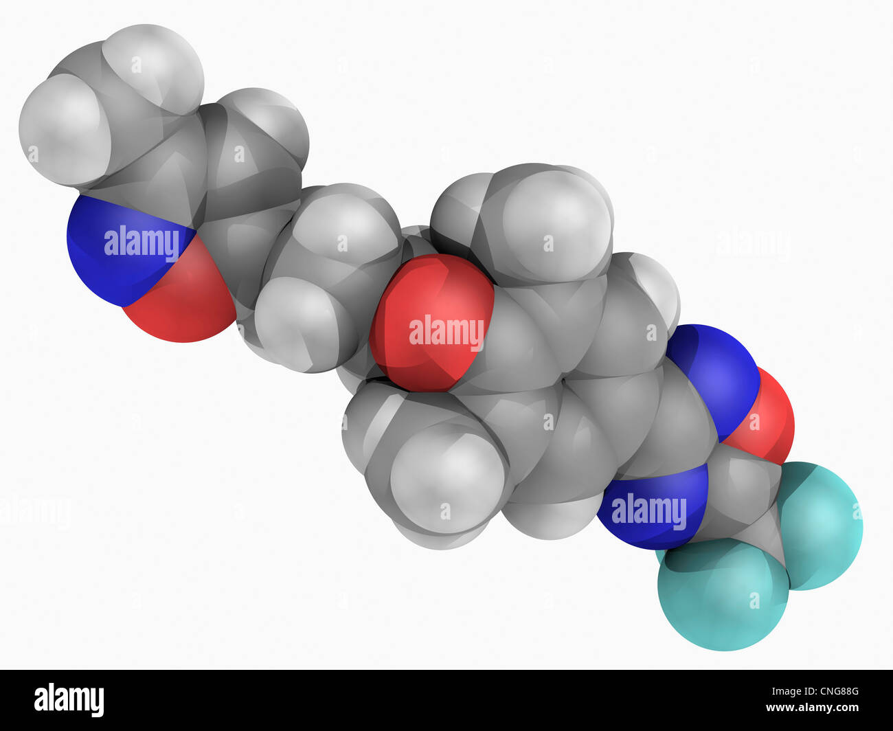 Ivermectin in elderly