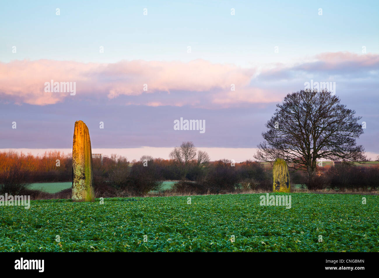 Des Teufels Pfeile standing Stones auf Boroughbridge, North Yorkshire Stockfoto