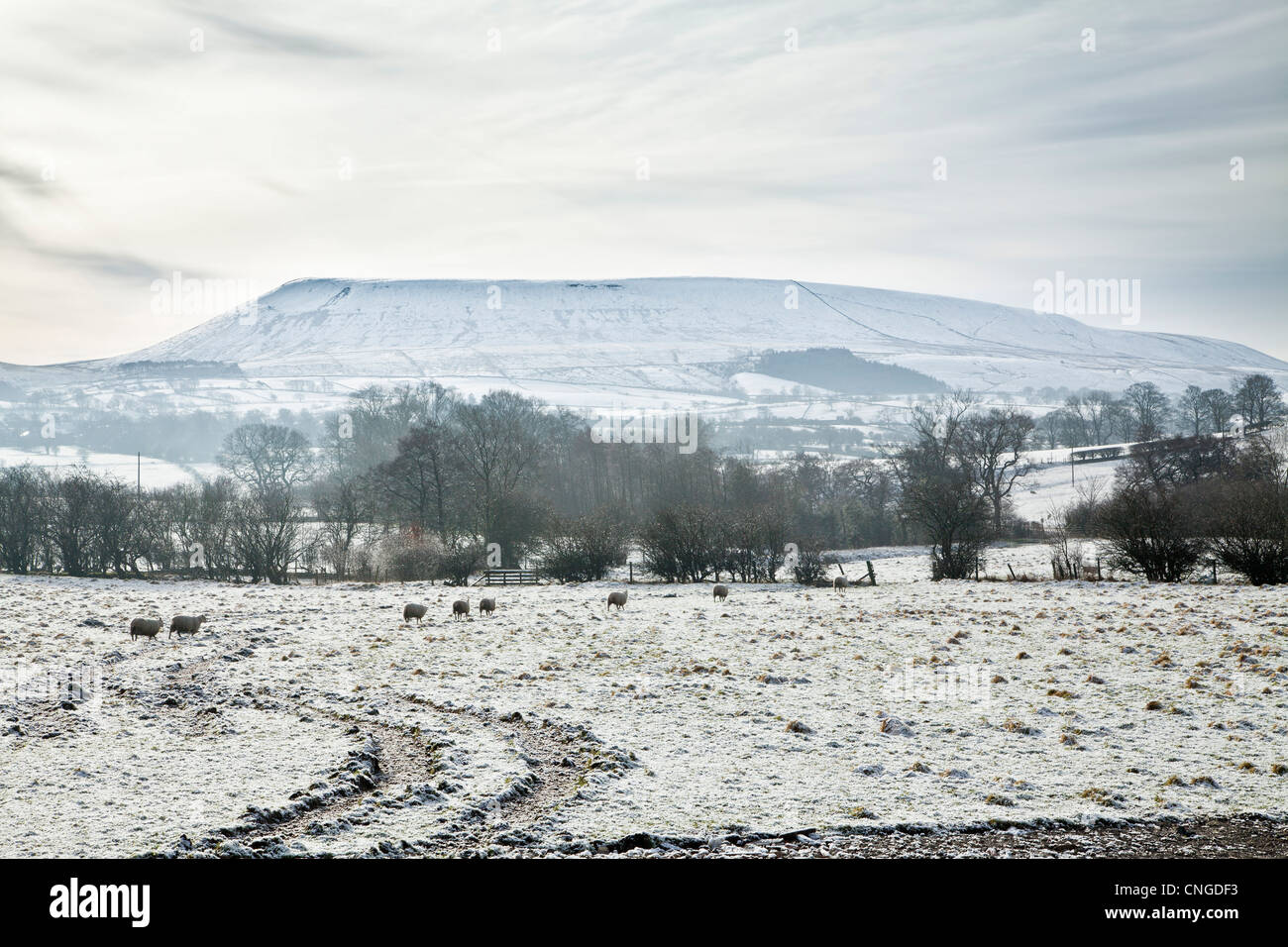 Pendle Hill im Winter, Lancashire. Stockfoto