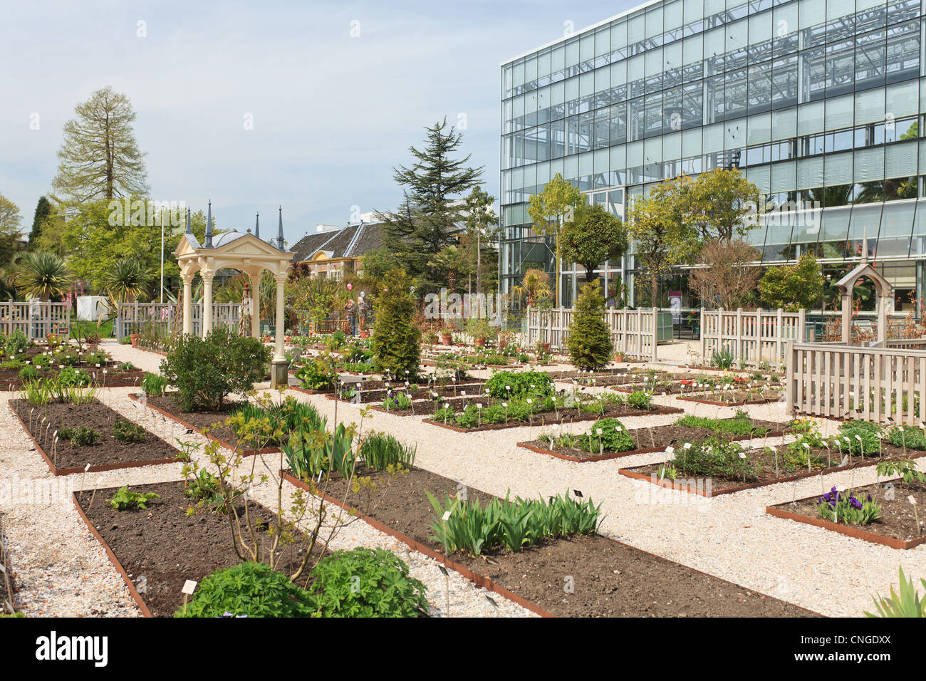 Holland, Leyden, Hortus Botanicus, Botanischer Garten der Universität Leyden, hier der Partei-Aufruf der Clusius Garten hatte. Stockfoto