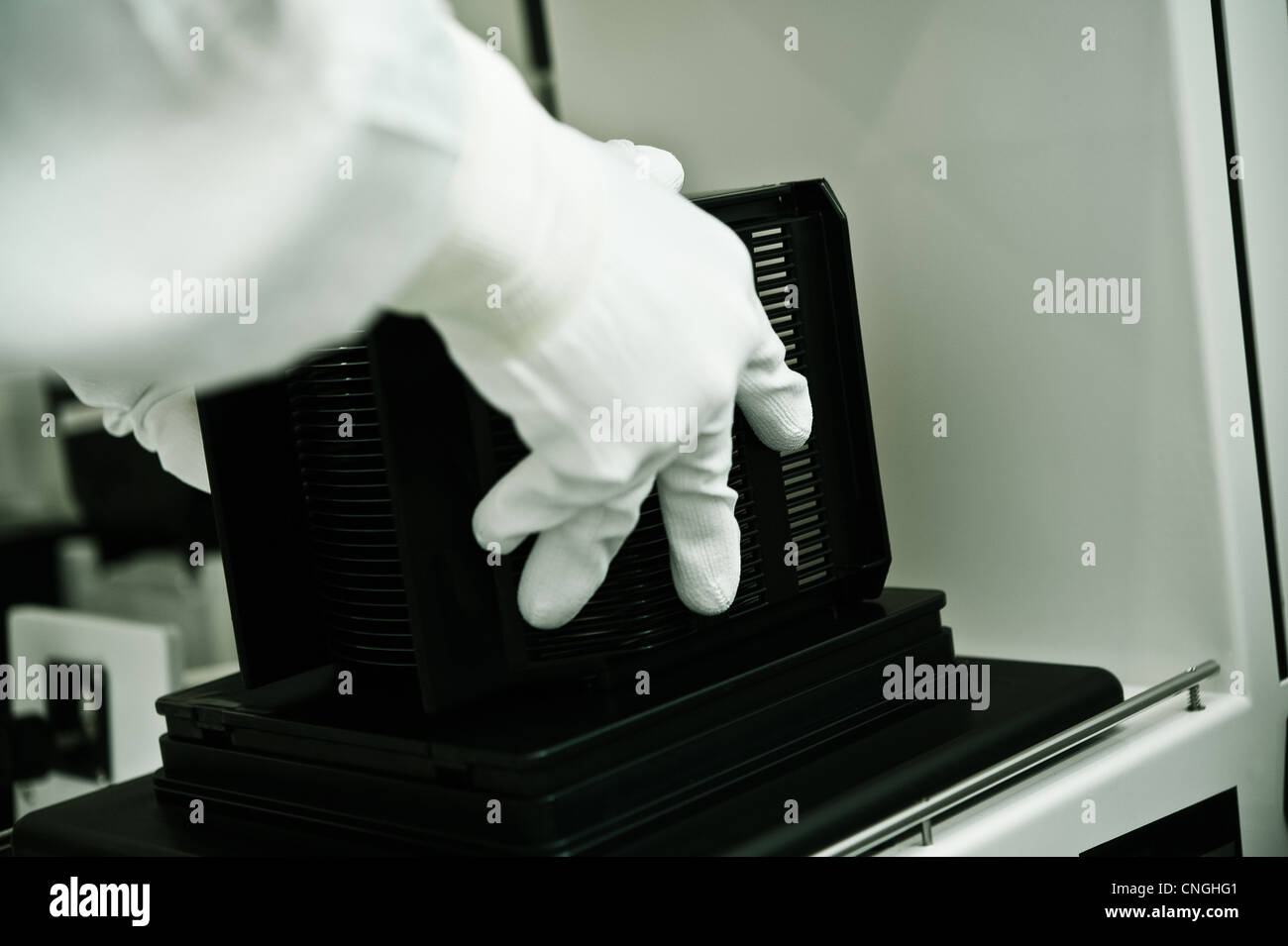 Person, ein Fach mit Wafer in einer Maschine Stockfoto