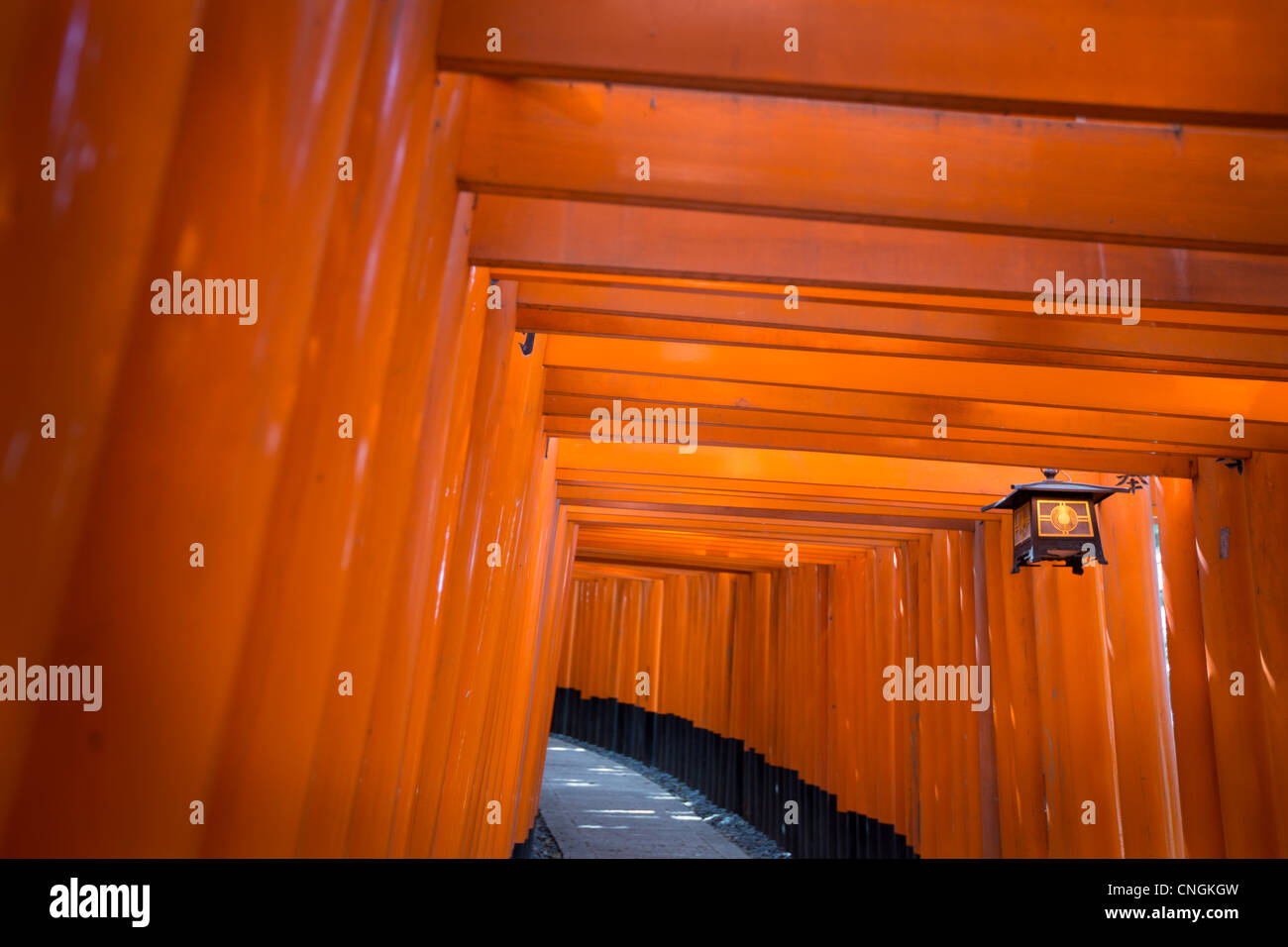 Der Tunnel und der Pfad der roten Torii Tore nach der inneren Schrein in Fushimi Inari-Taisha Schrein in Inari, in der Nähe von Kyoto, Japan. Stockfoto