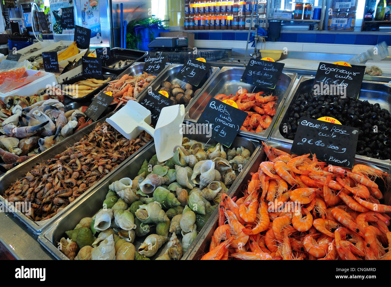 Frische Muscheln und Meeresfrüchte auf dem Display an indoor Fischmarkt im Hafen von Le Tréport, Haute-Normandie, Seine-Maritime, Frankreich Stockfoto