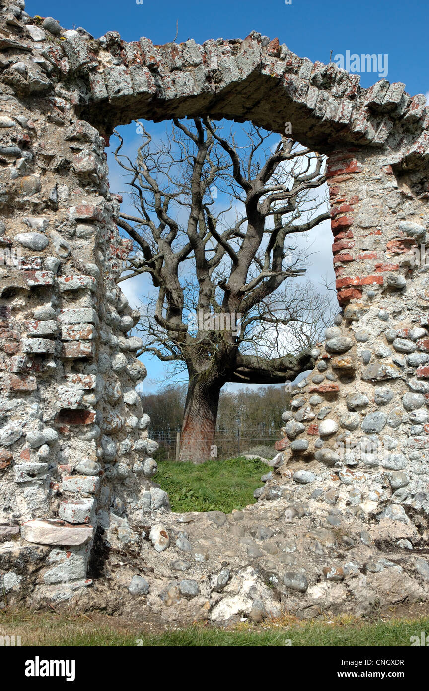 Baum gesehen durch Fenster in der Fassade des Baconsthorpe Schlosses, Norfolk, Großbritannien Stockfoto