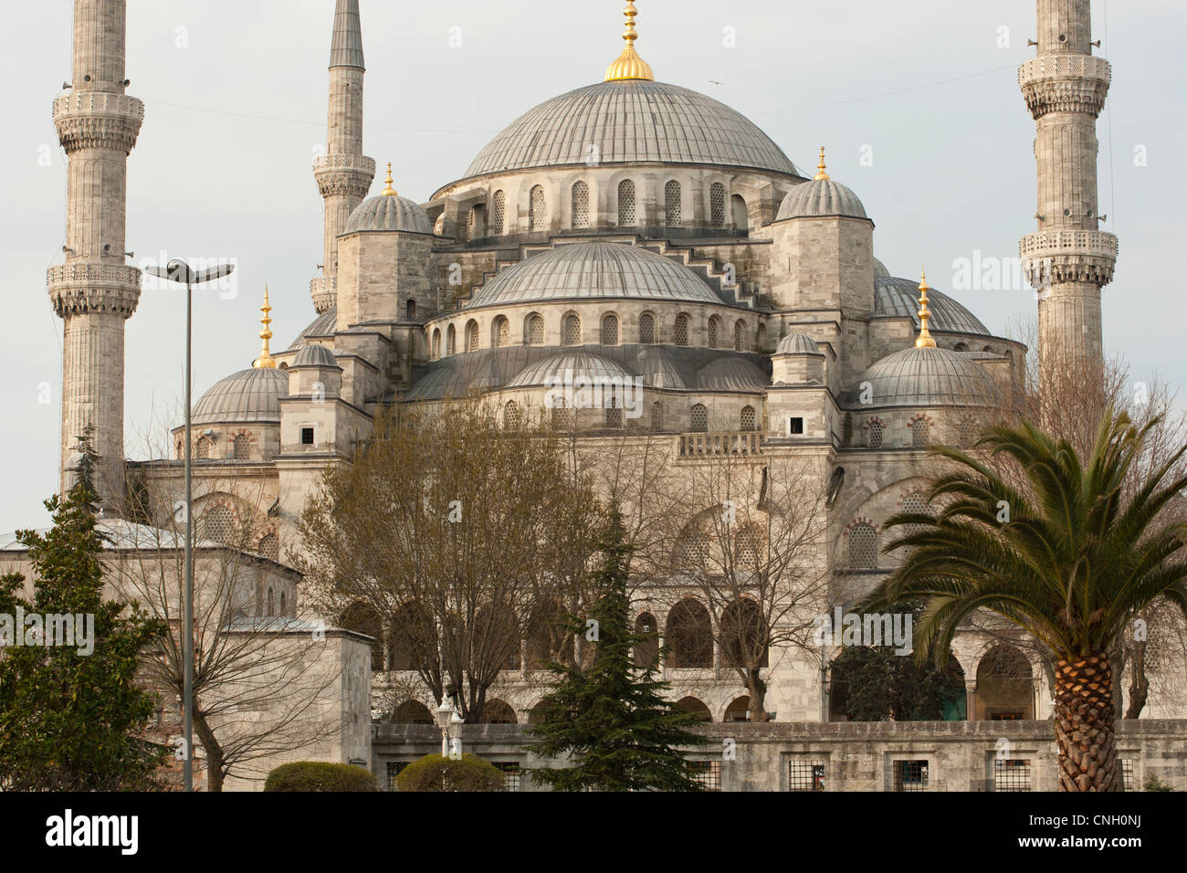 Die blaue Moschee, Istanbul, Türkei Stockfoto