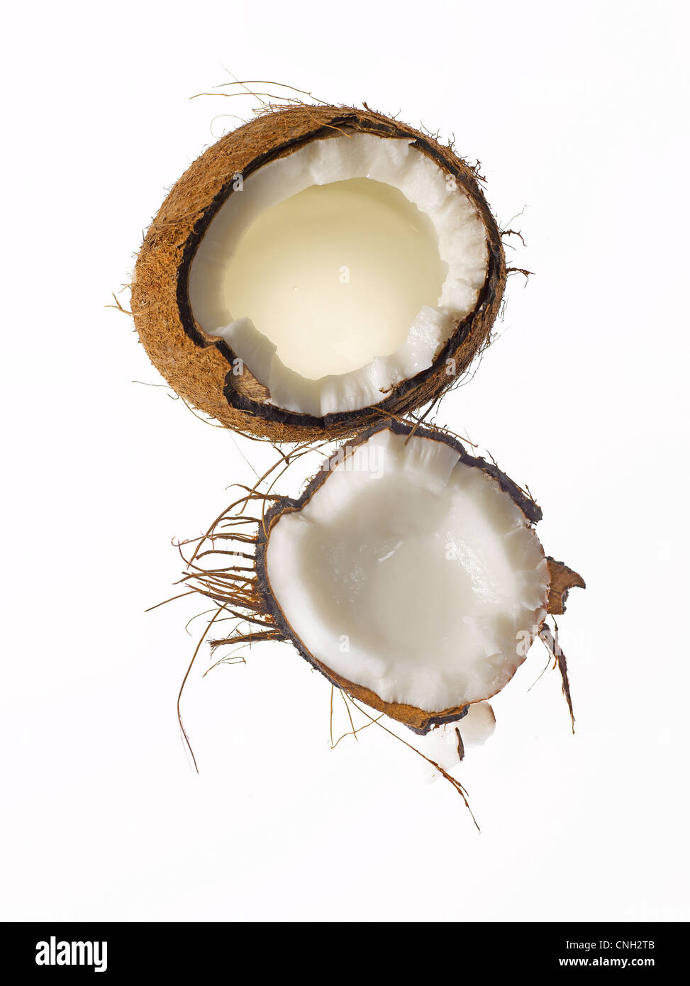 frisches rohes Kokosnußoberteil aufgeschnitten Stockfoto