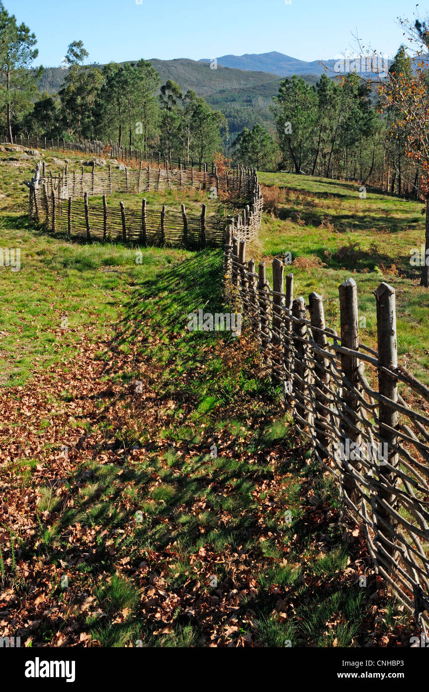 Erholung eines bronzezeitlichen Dorfes in einen archäologischen Park. Parque Arqueolóxico da Arte Rupestre. Campo Lameiro, Galizien. Stockfoto