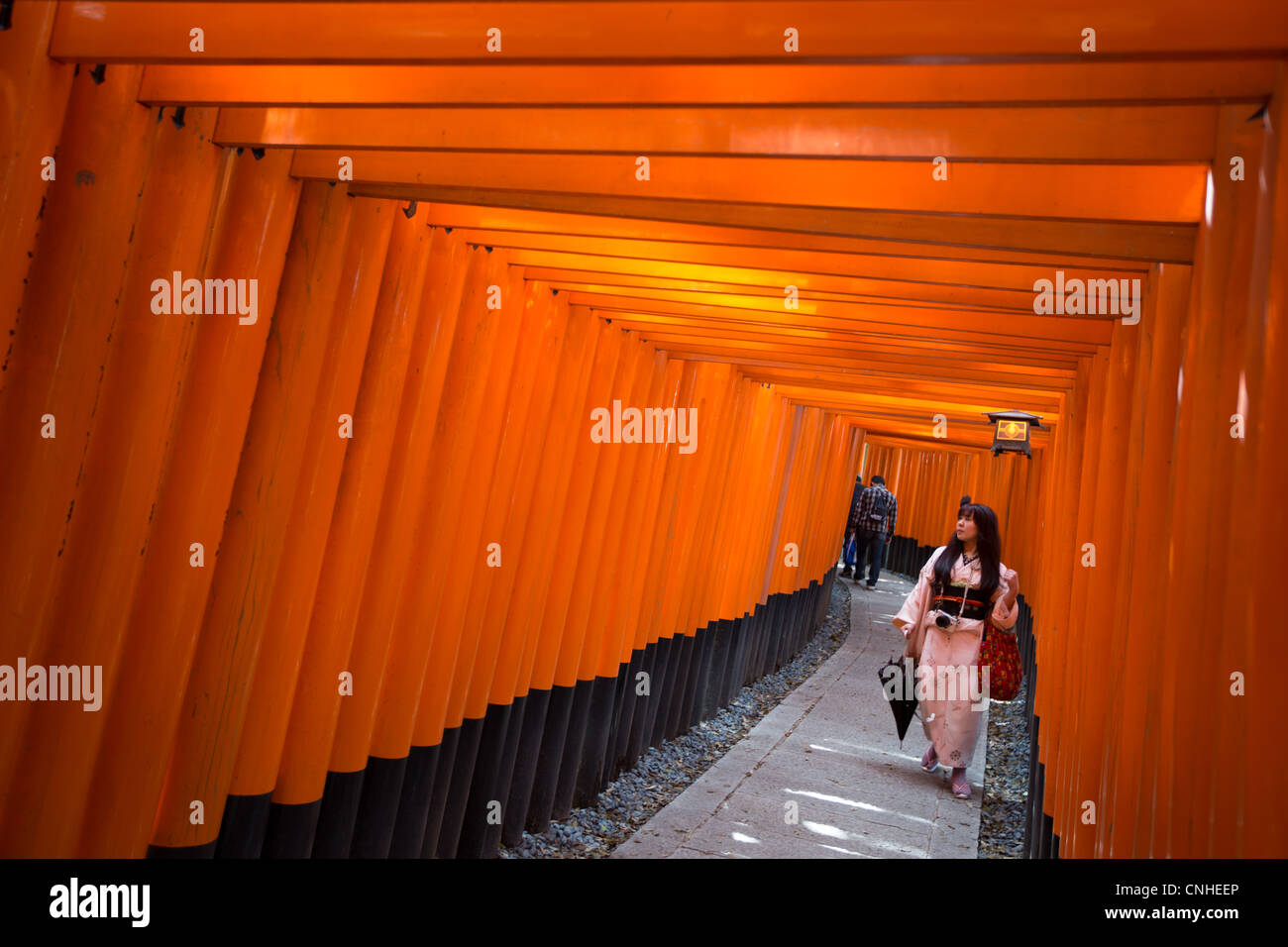 Der Tunnel und der Pfad der roten Torii Tore nach der inneren Schrein in Fushimi Inari-Taisha Schrein in Inari, in der Nähe von Kyoto, Japan. Stockfoto