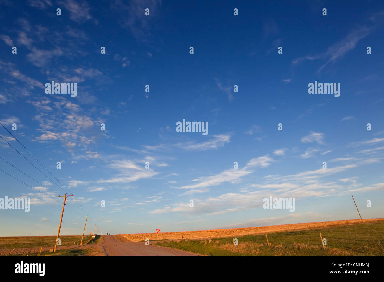 Eine einsame Kreuzung in Farmland in der Nähe von Goodland, Kansas. Stockfoto