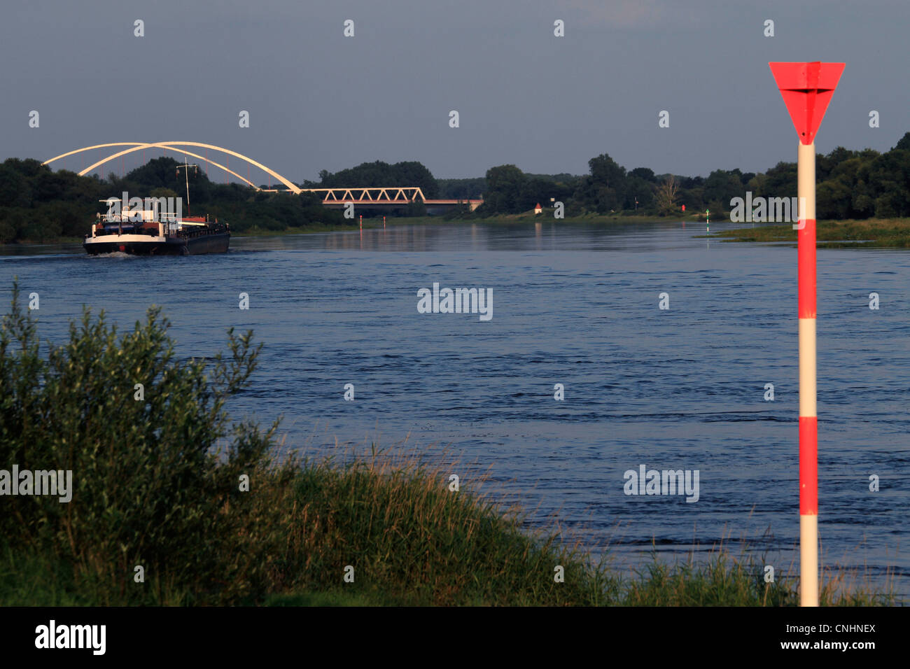 Hochwasser, die Messung der Pole, Fluss Elbe, Deutschland Stockfoto