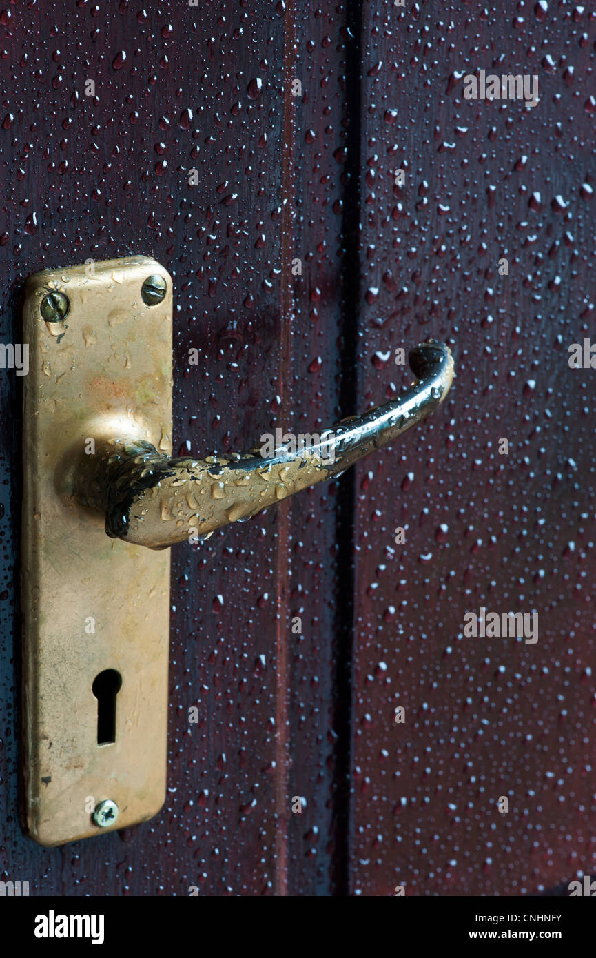 Regen fällt auf lackierte Holztür. Schutz von Holz aus Wasser. Großbritannien Stockfoto