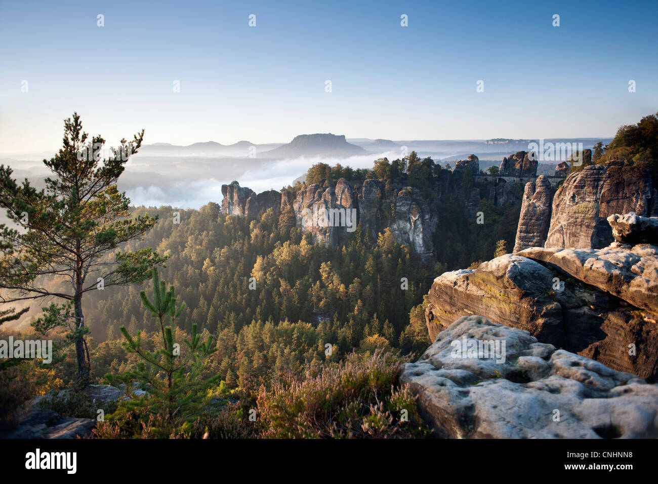 Morgen an der Bastei, Elbsandsteingebirge, Nationalpark Sächsische Schweiz, Deutschland Stockfoto