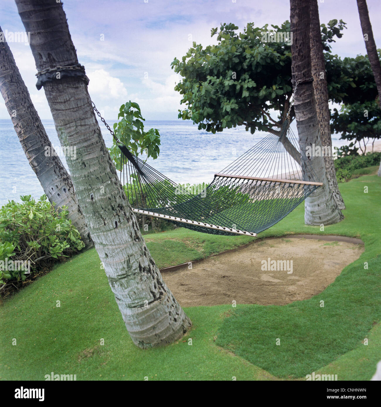 Eine Hängematte hängen von zwei Palmen, Maui, Hawaii Stockfoto