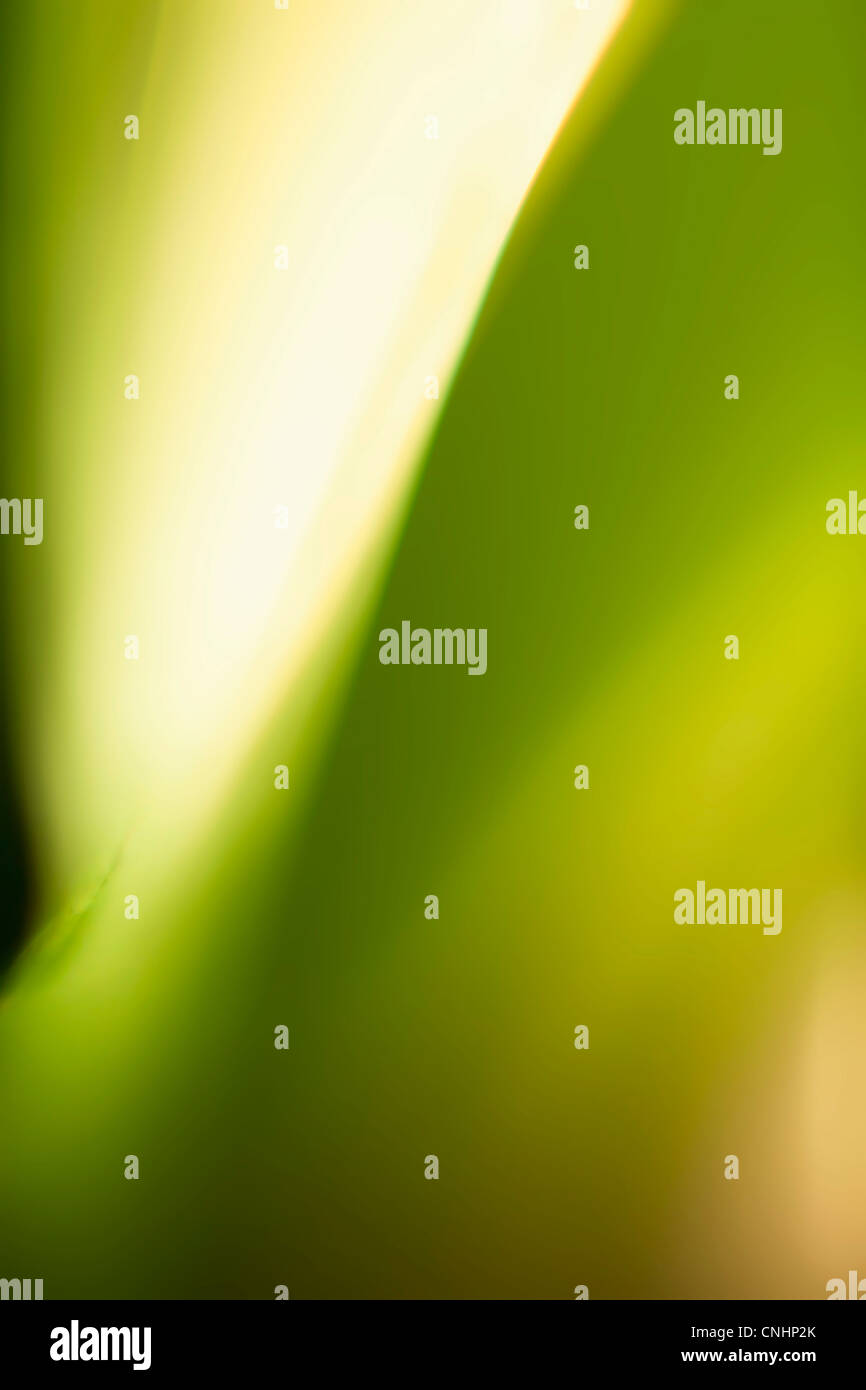 Abstrakte farbige Formen und Licht Stockfoto