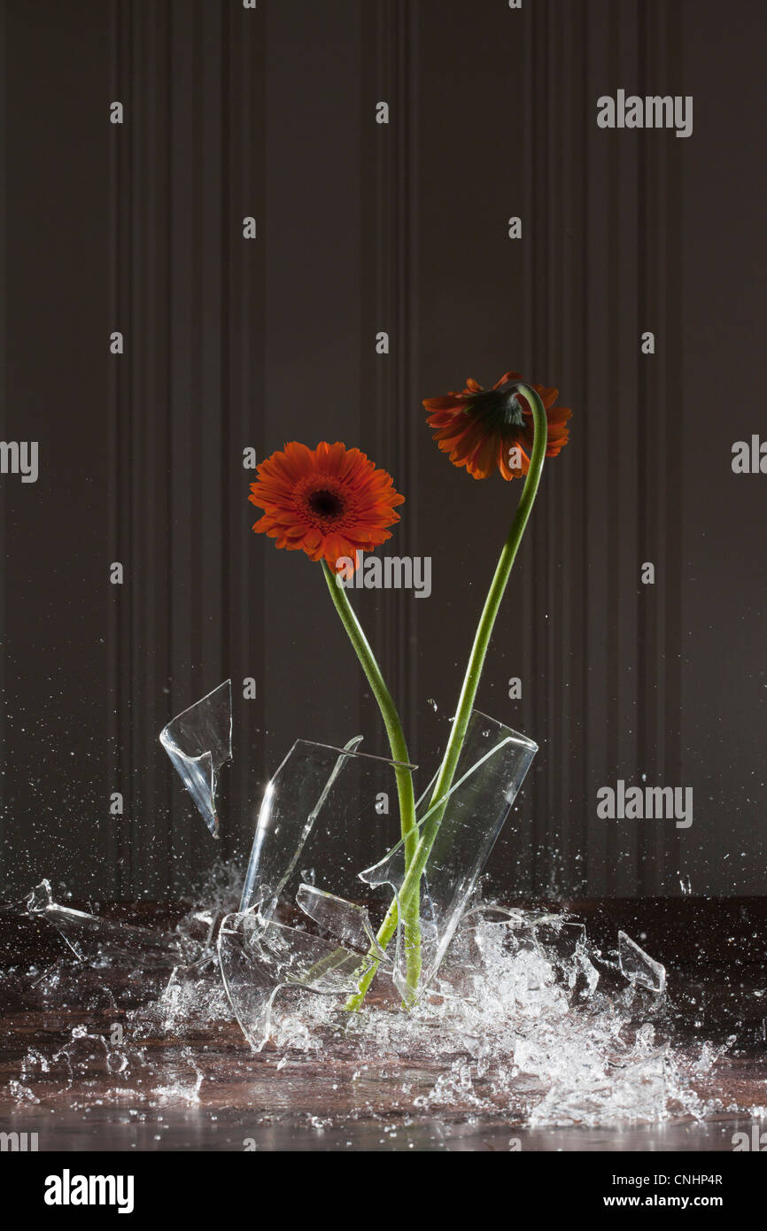 Eine erschütternde vase Stockfoto