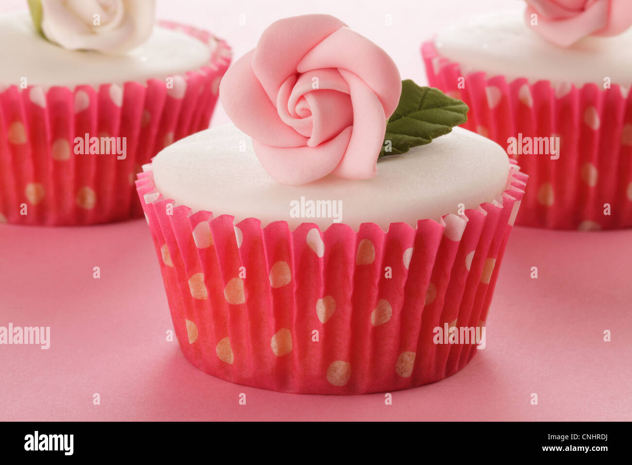ROSA ROSE CUPCAKES Stockfoto