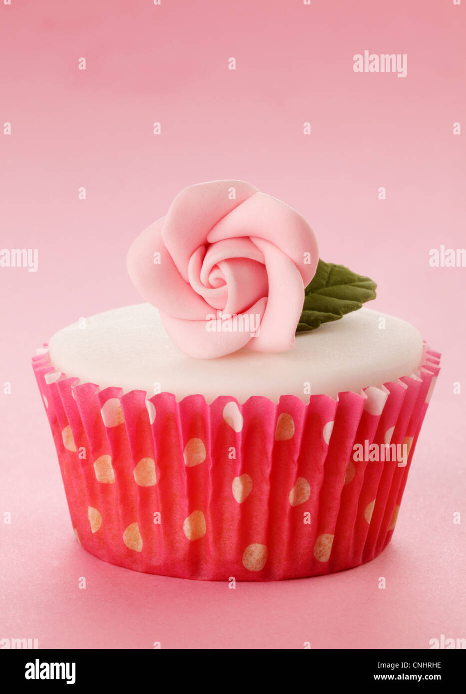 ROSA ROSE CUPCAKE Stockfoto