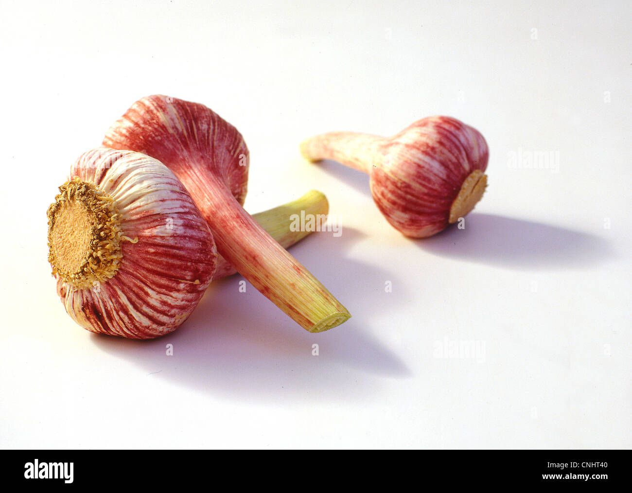 Ausschneiden: Knoblauch Stockfoto