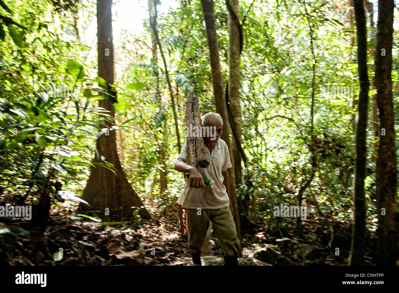 Ein Jäger trägt die Fackeln verwendet, um Funken in Richtung Camp im Dschungel in der Nähe von Gubir in Malaysia Stockfoto