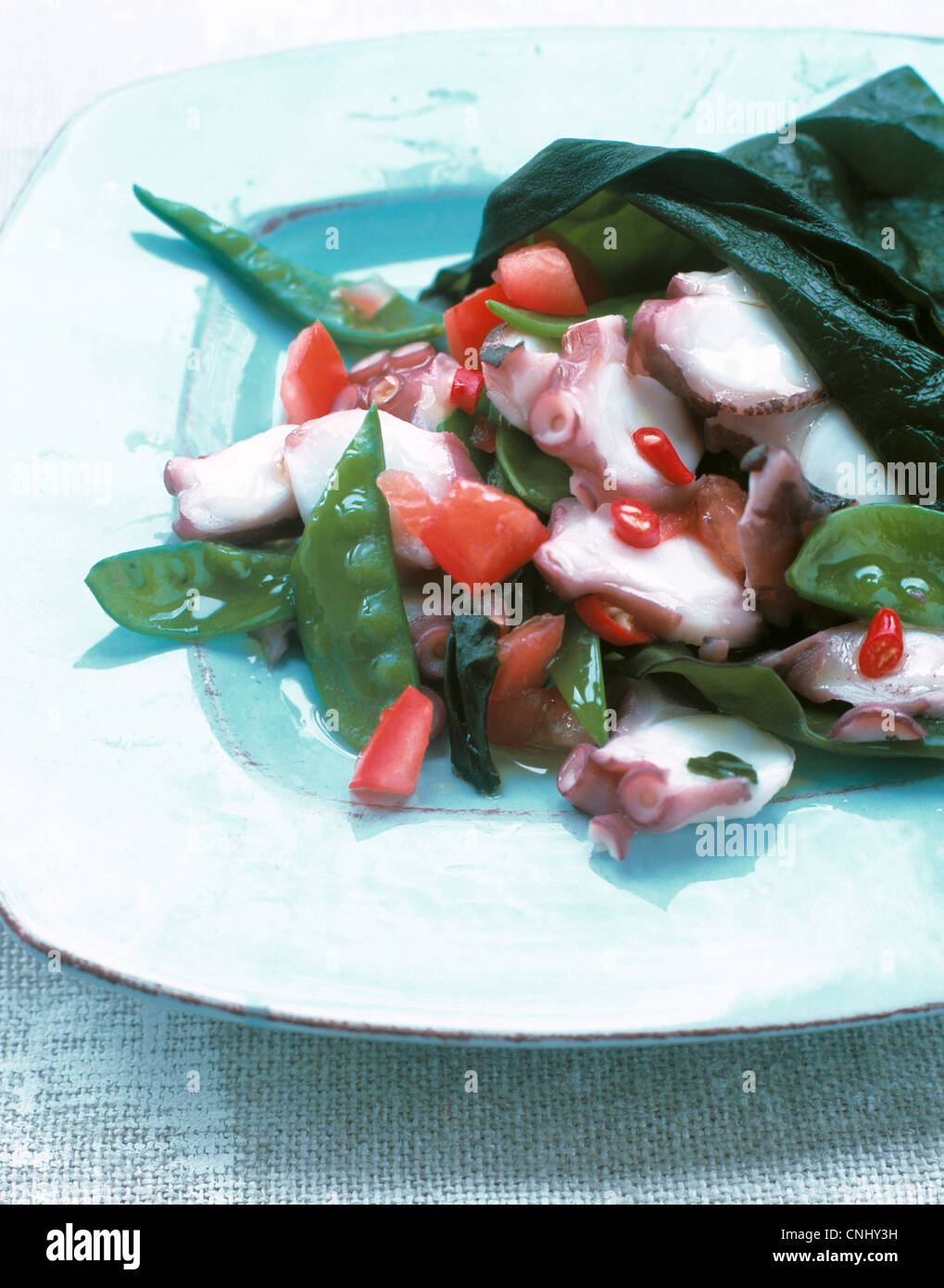 Bunte Tintenfisch-Salat Stockfoto