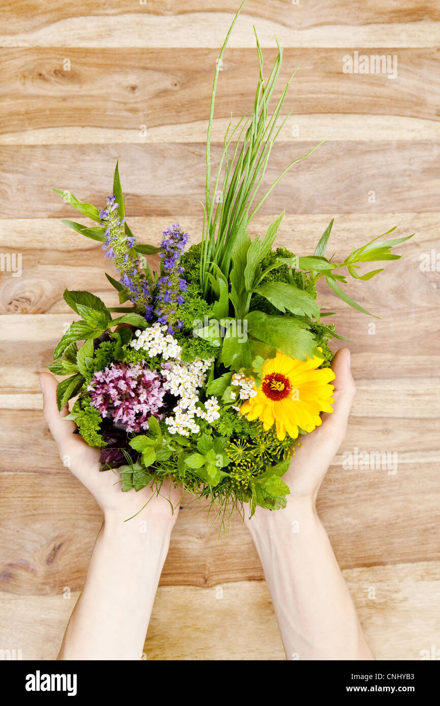 Person, die essbaren Blüten und Kräutern Stockfoto