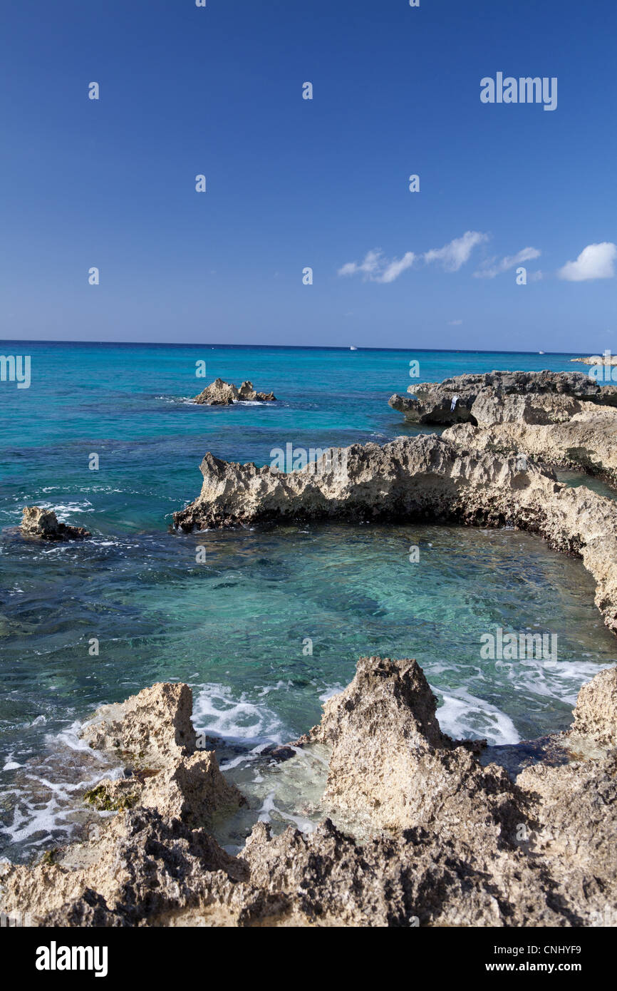 Felsen und karibischen Meer, Grand Cayman, Cayman-Inseln Stockfoto