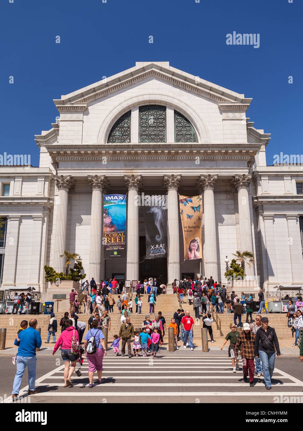 WASHINGTON, DC, USA - Smithsonian Museum of Natural History. Stockfoto